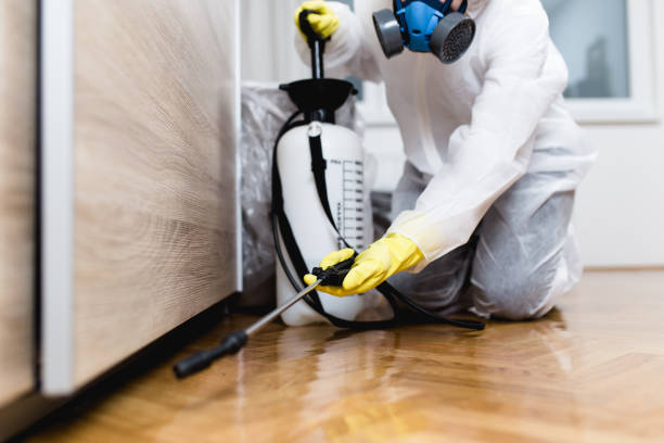 Best Best Pest Control Companies  in Lockport, NY