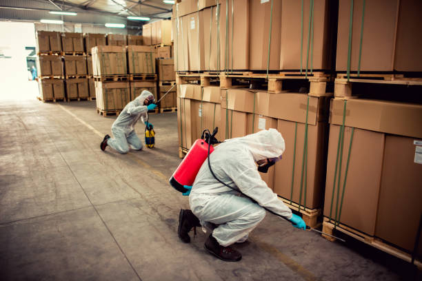 Best Cockroach Control Services  in Lockport, NY