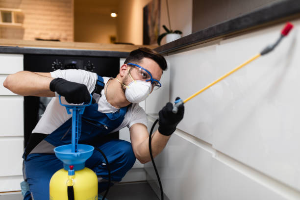 Best Commercial Pest Control Services  in Lockport, NY