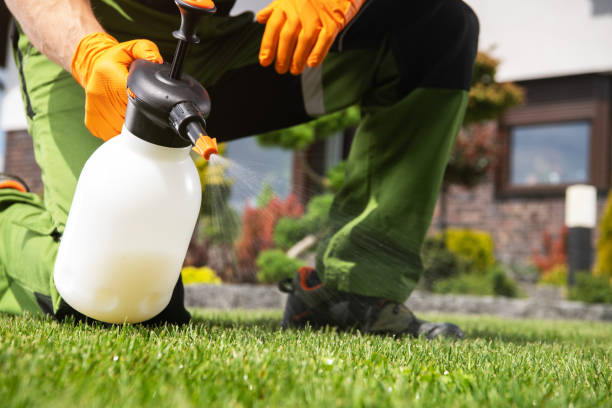 Best Pest Prevention Services  in Lockport, NY