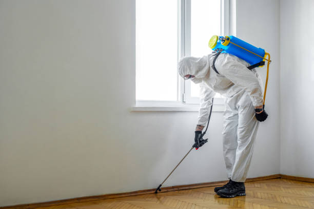Best Pest Removal Services  in Lockport, NY