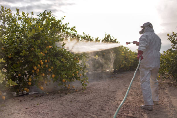 Best Pest Inspection Near Me  in Lockport, NY