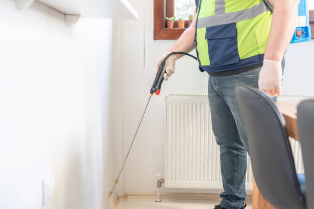 Best Mosquito Control Services  in Lockport, NY
