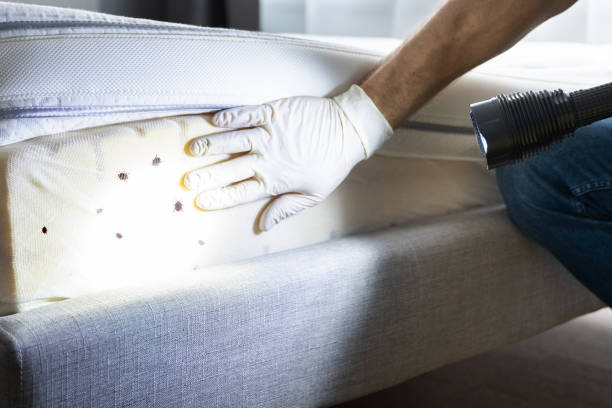 Best Best Pest Control Companies  in Lockport, NY